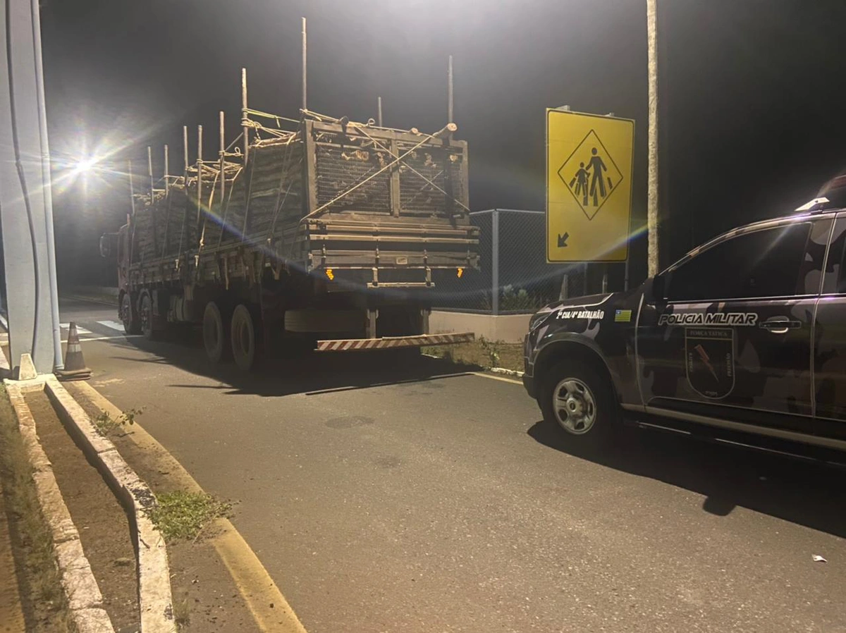 Caminhão com carga ilegal de madeira